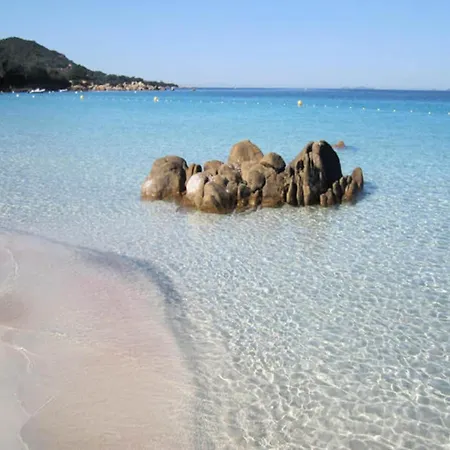 In Coti Chiavari - Corsica Verghia